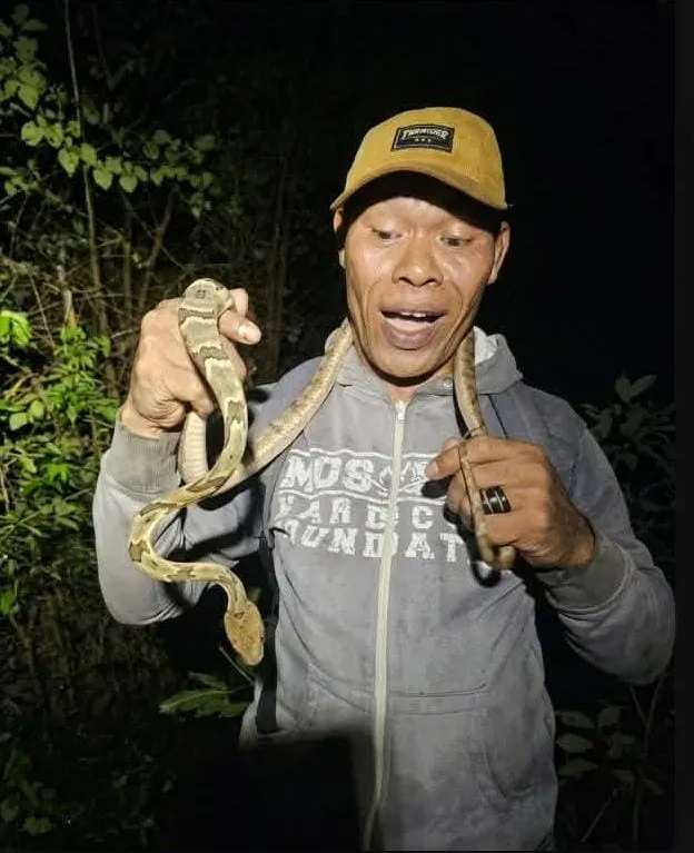 Field Herping Guide Kak Beny in Labuan Bajo
