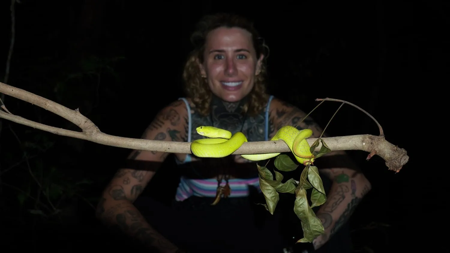 Guest posing near green pit viper at night
